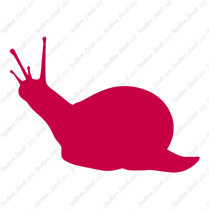 Slug Snail Insect Bug