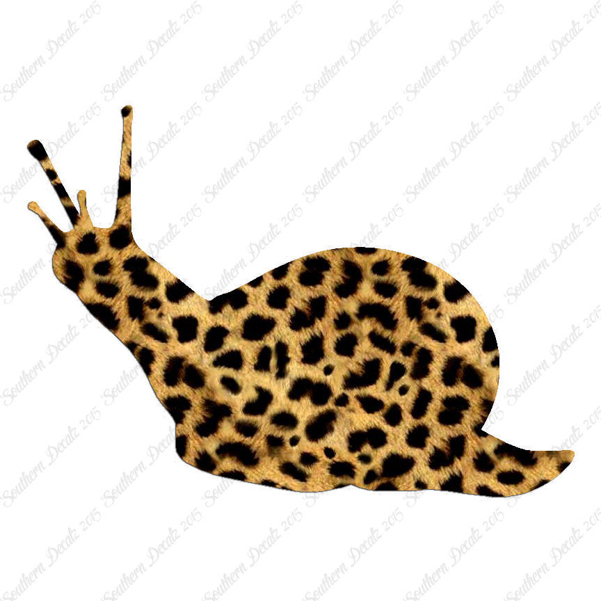 Slug Snail Insect Bug