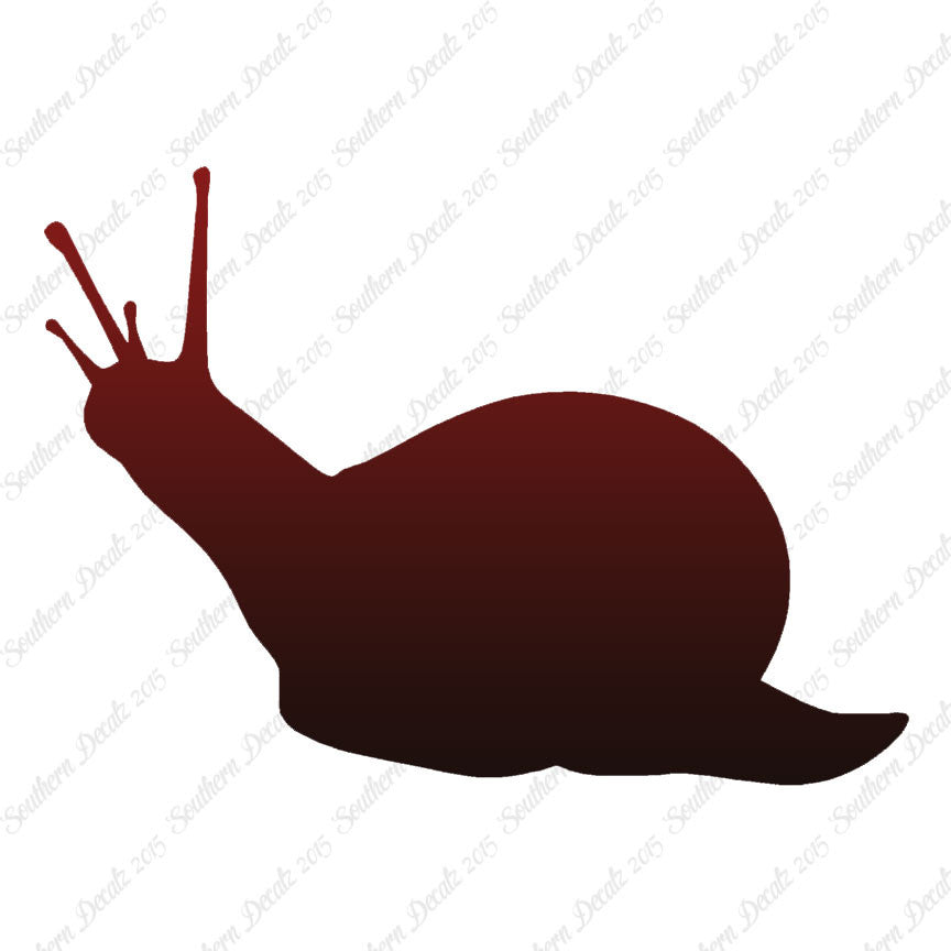 Slug Snail Insect Bug