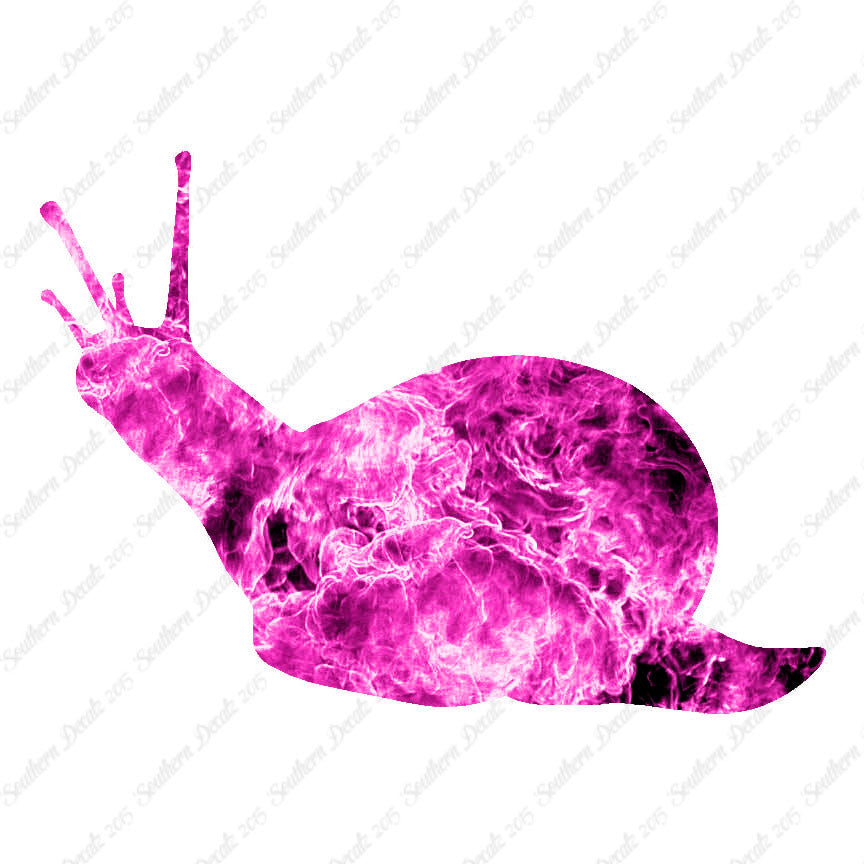 Slug Snail Insect Bug