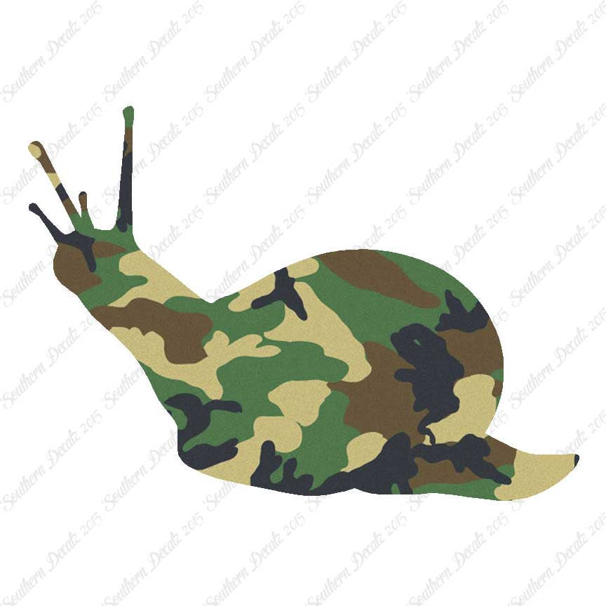 Slug Snail Insect Bug
