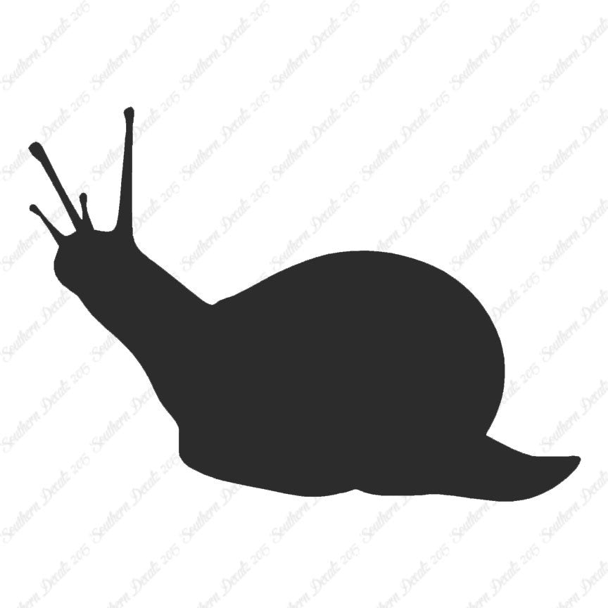 Slug Snail Insect Bug