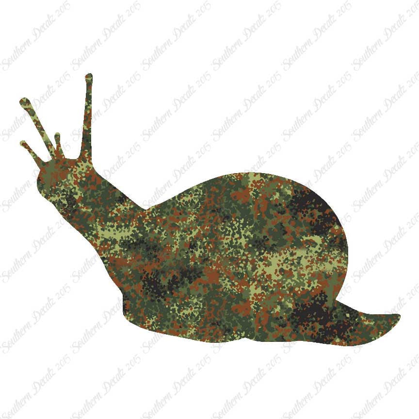 Slug Snail Insect Bug