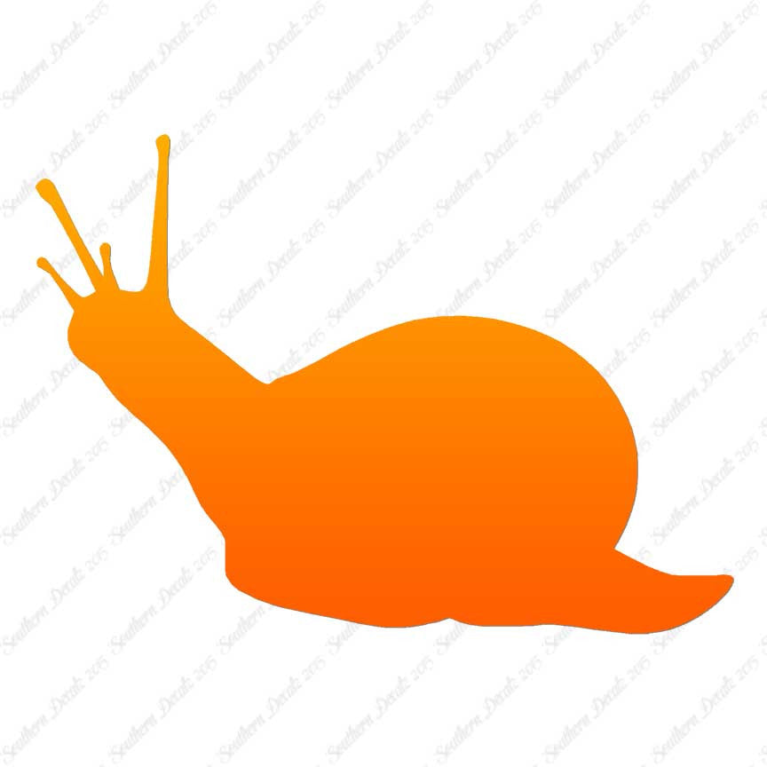 Slug Snail Insect Bug