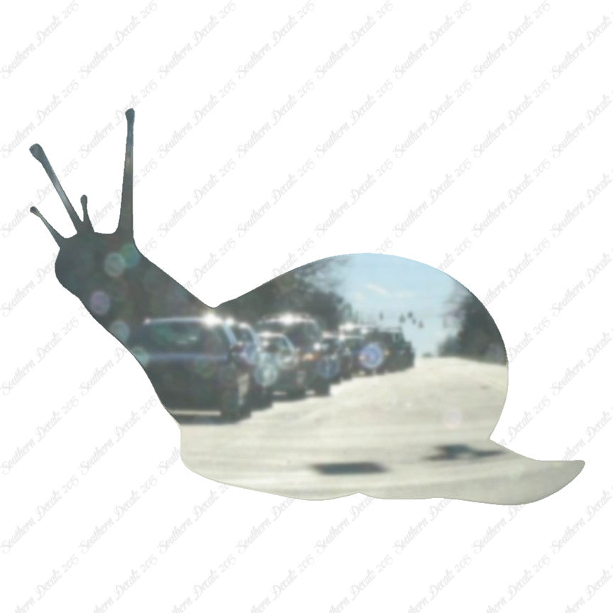 Slug Snail Insect Bug