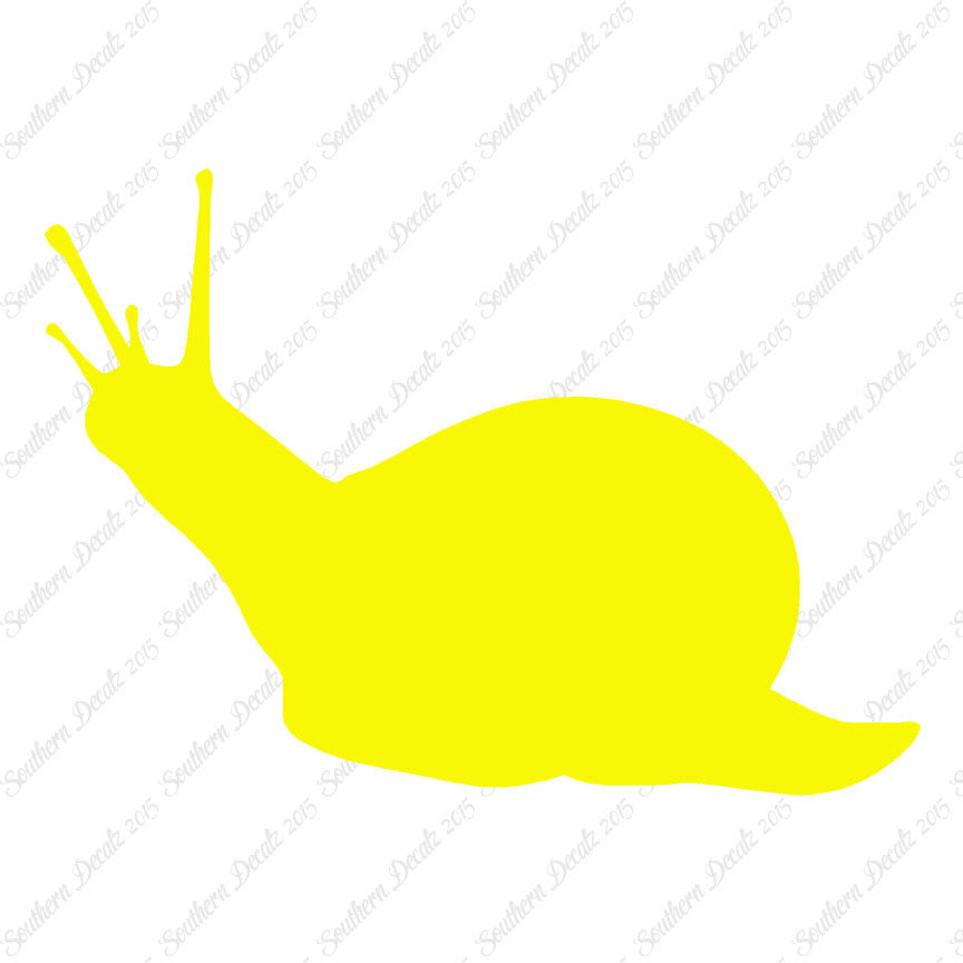 Slug Snail Insect Bug