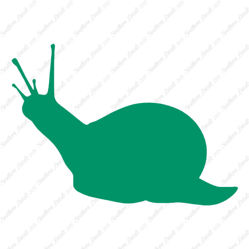 Slug Snail Insect Bug