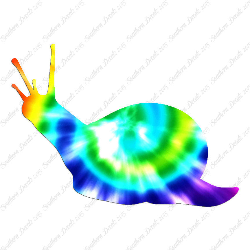 Slug Snail Insect Bug