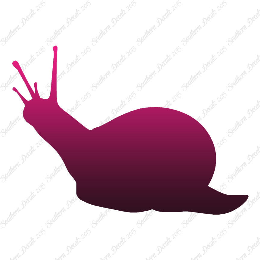 Slug Snail Insect Bug