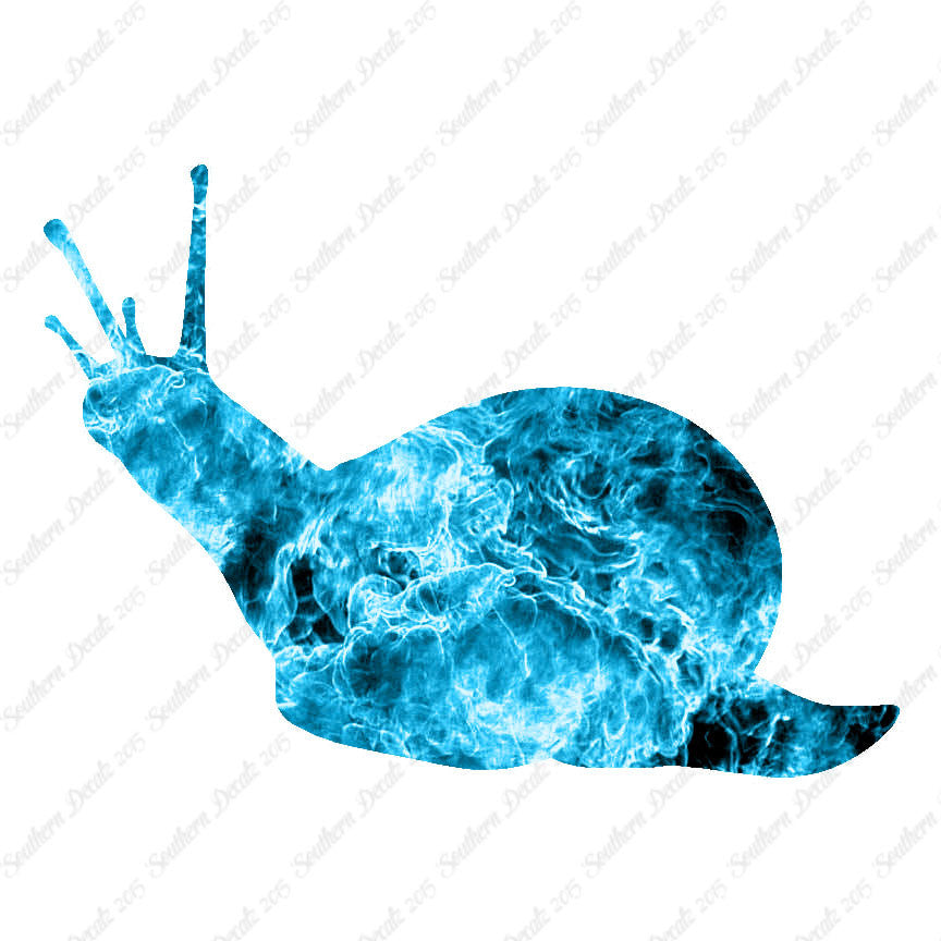 Slug Snail Insect Bug