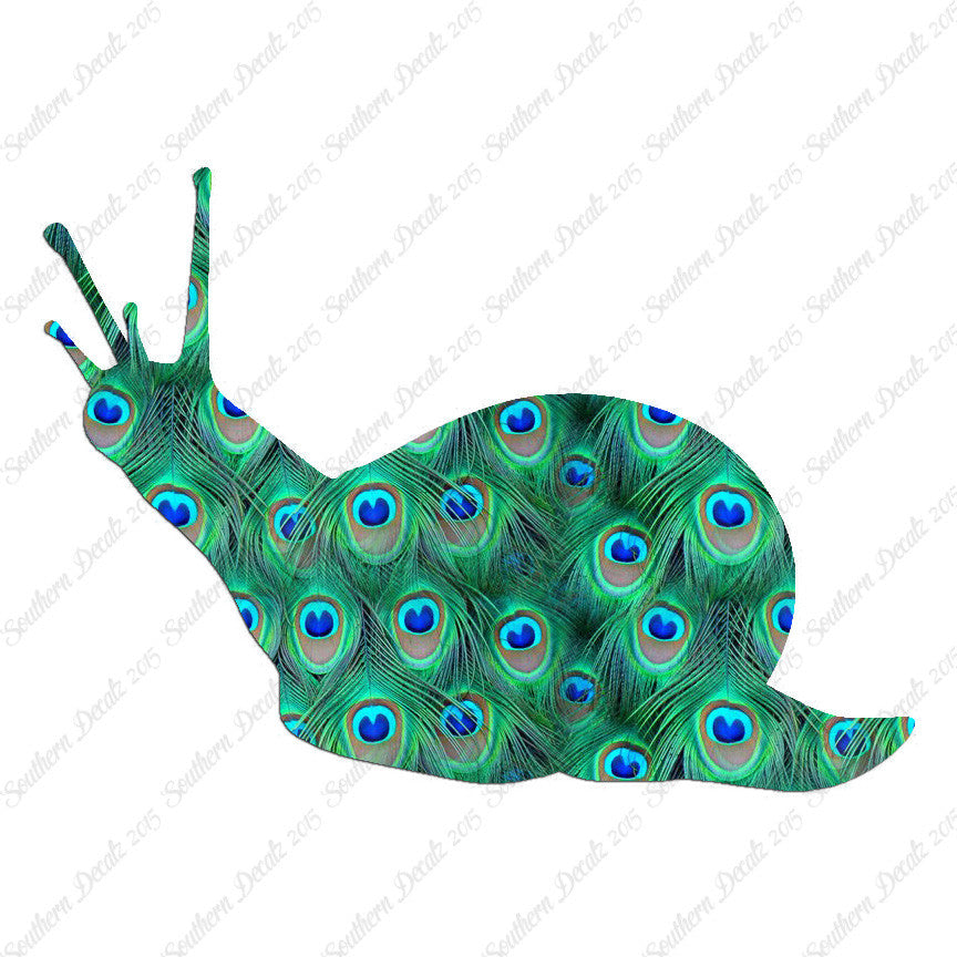 Slug Snail Insect Bug