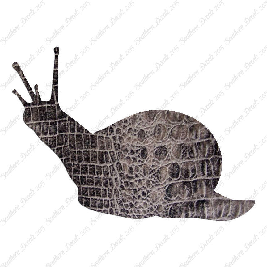 Slug Snail Insect Bug