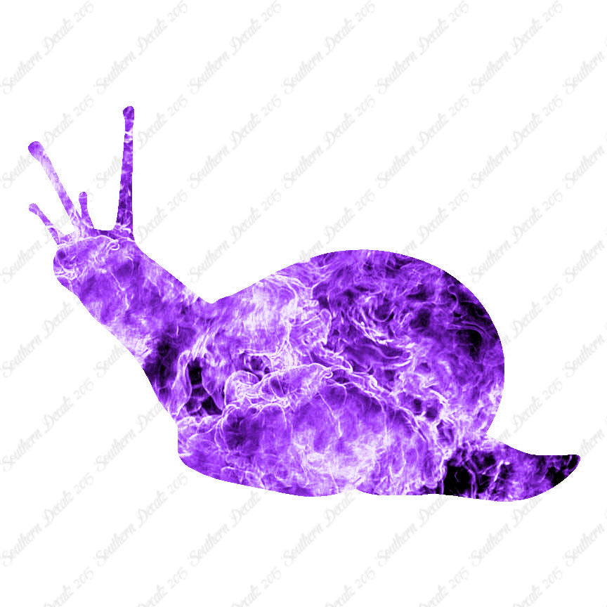 Slug Snail Insect Bug