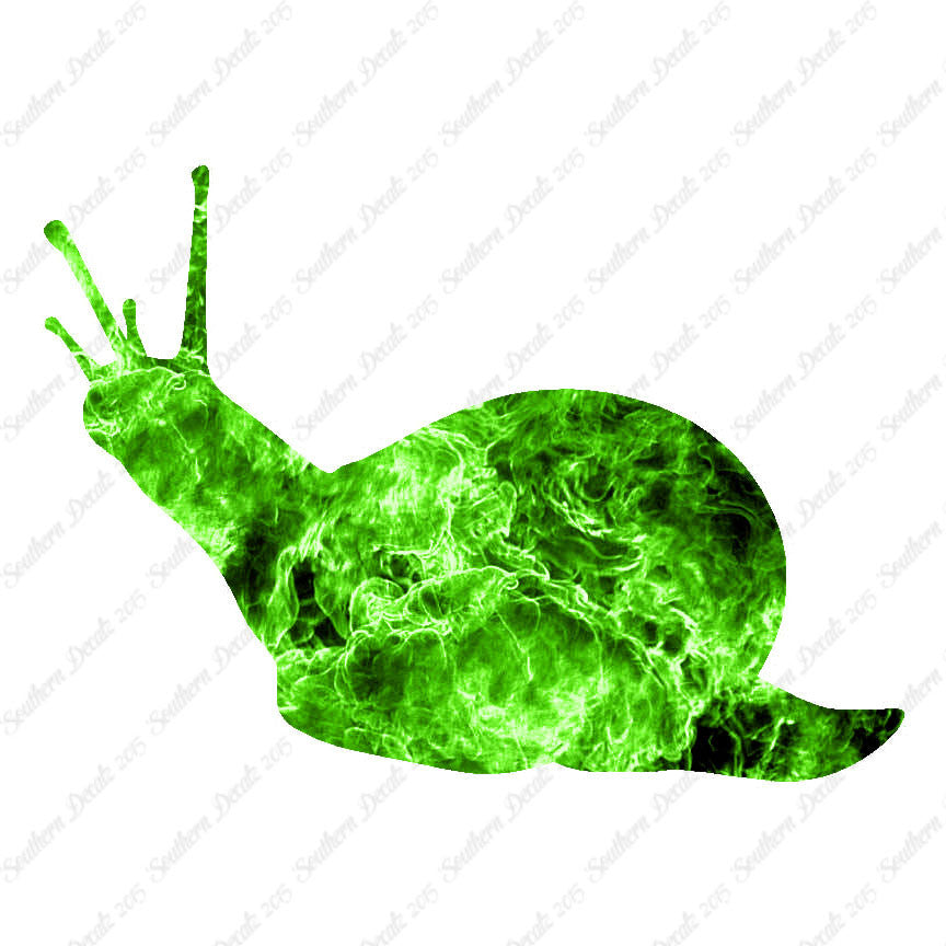 Slug Snail Insect Bug