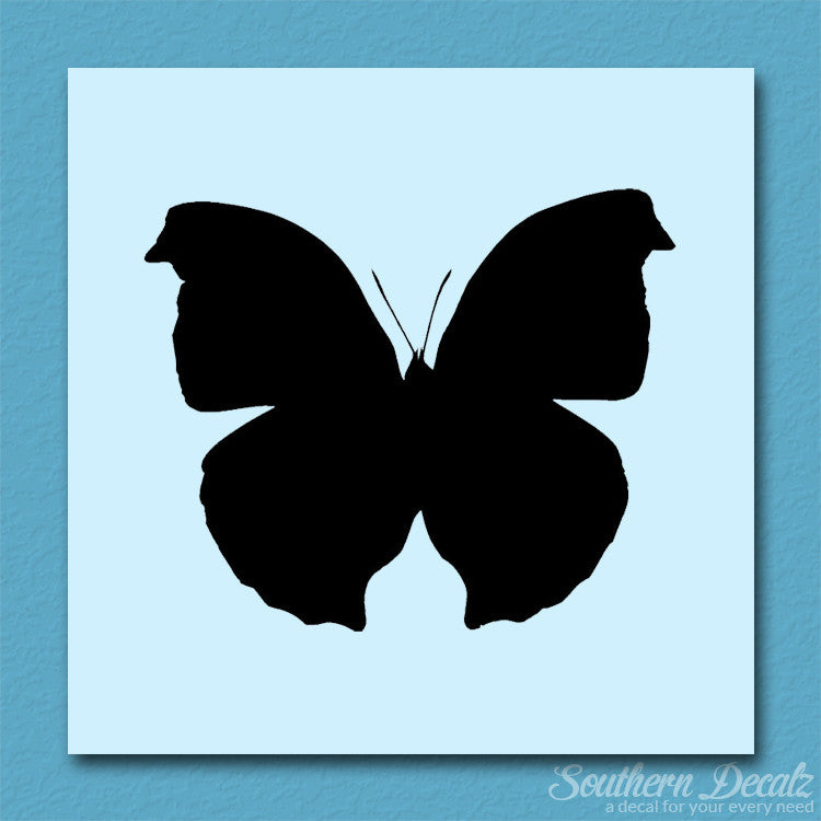 Moth Butterfly Insect Bug