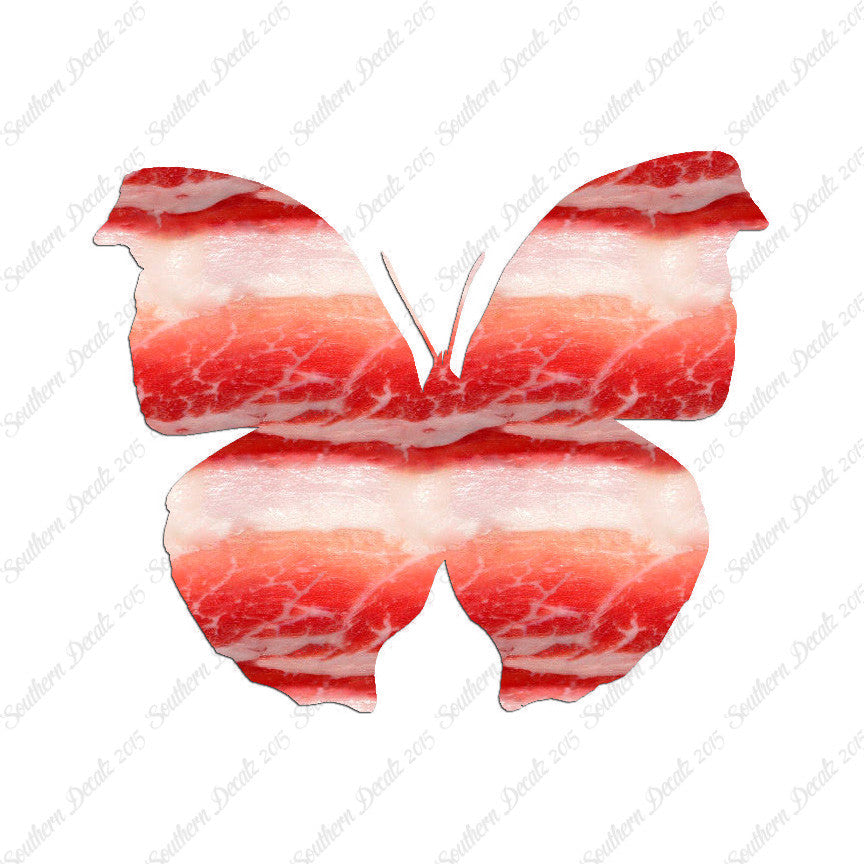 Moth Butterfly Insect Bug