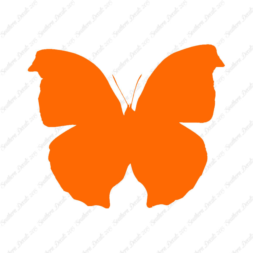 Moth Butterfly Insect Bug
