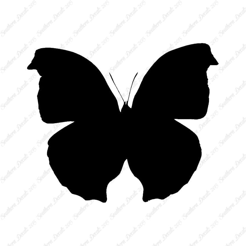 Moth Butterfly Insect Bug