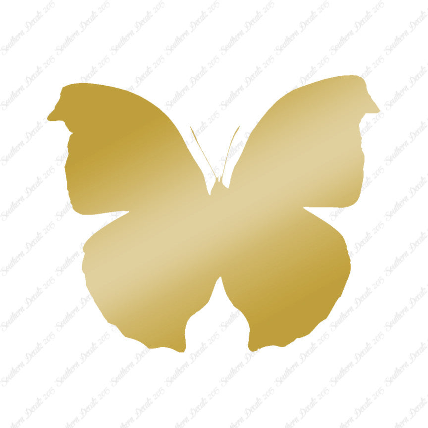 Moth Butterfly Insect Bug