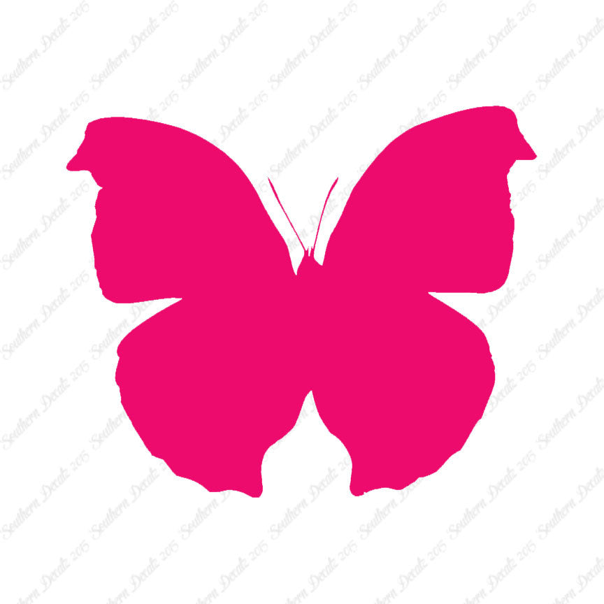 Moth Butterfly Insect Bug
