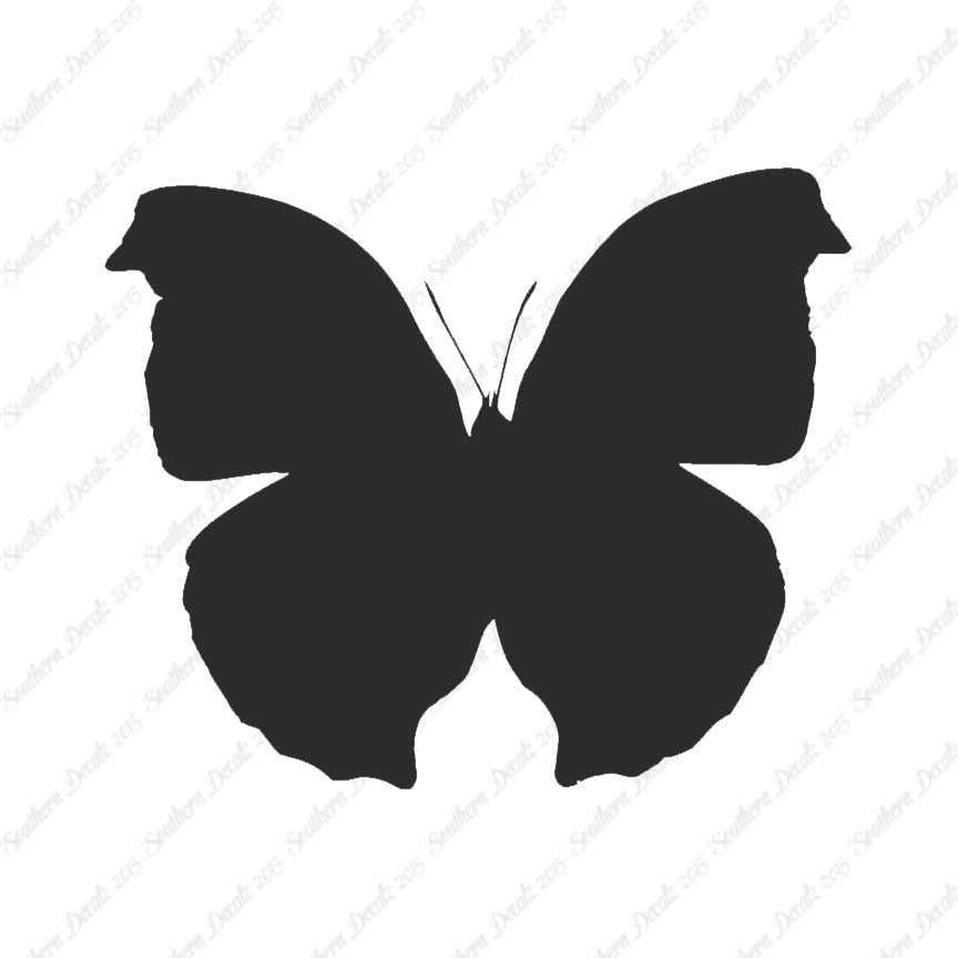 Moth Butterfly Insect Bug