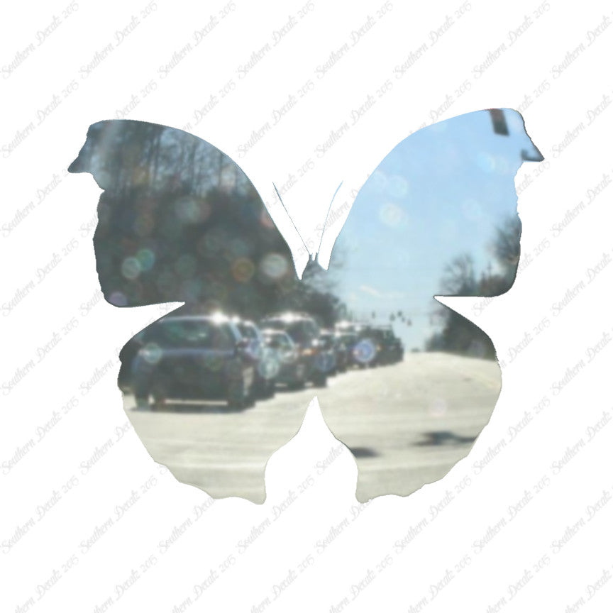 Moth Butterfly Insect Bug