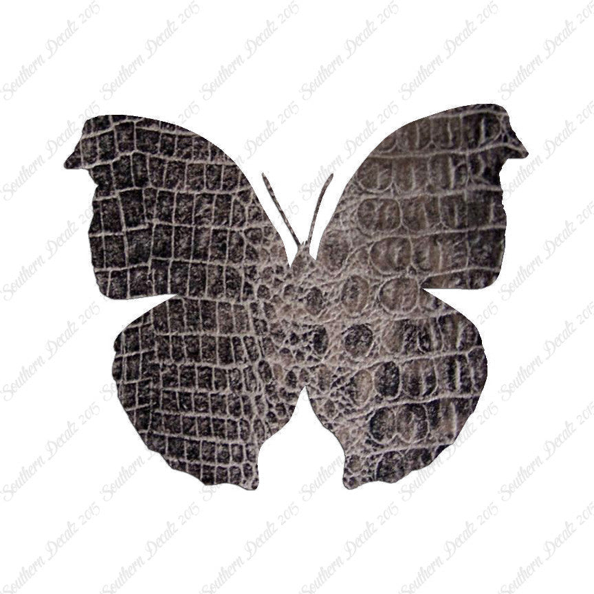 Moth Butterfly Insect Bug