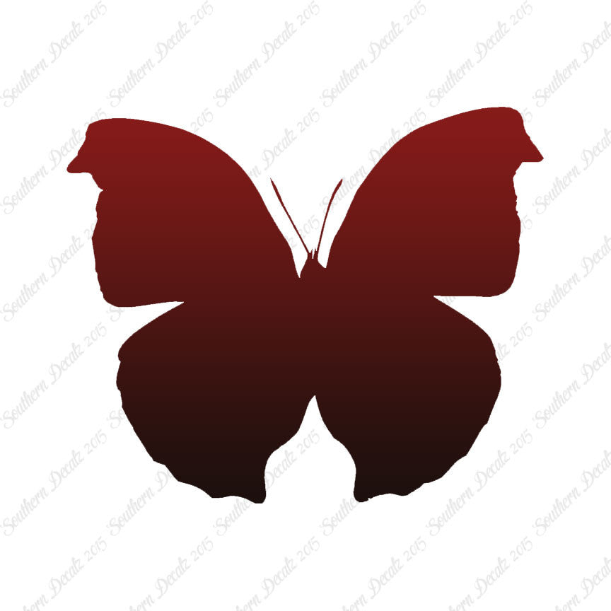 Moth Butterfly Insect Bug