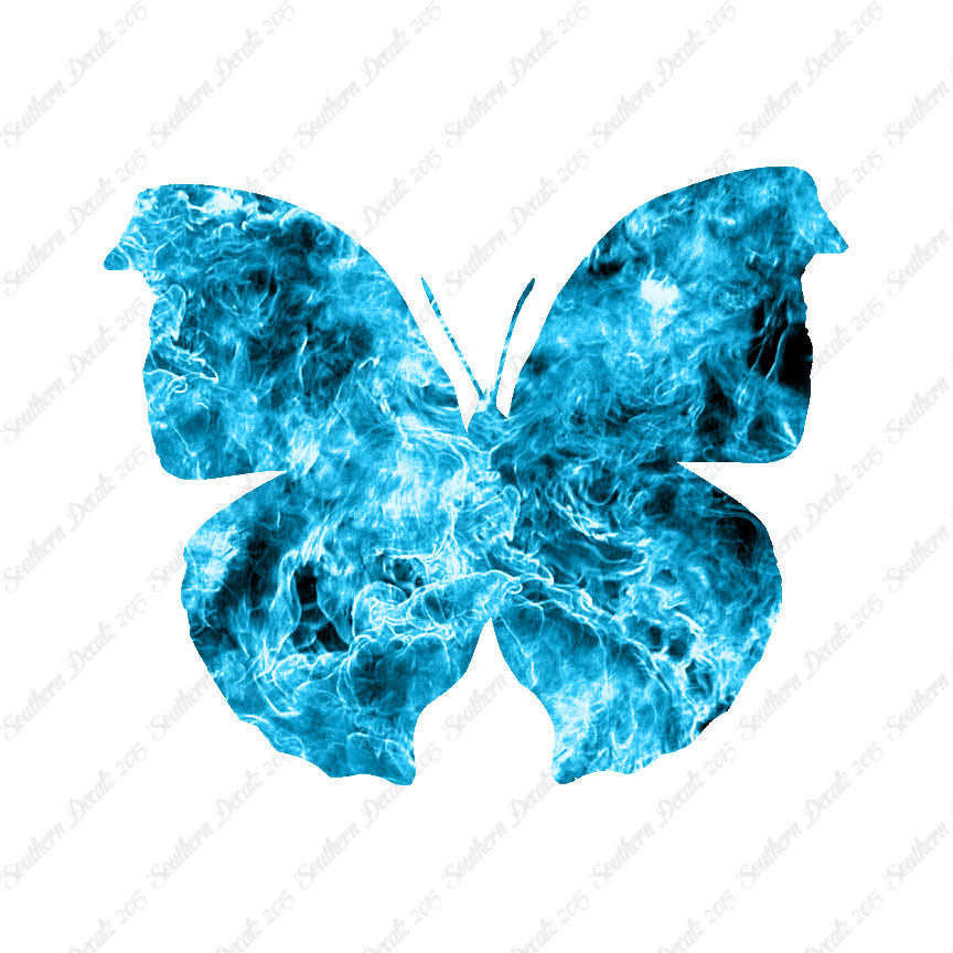 Moth Butterfly Insect Bug