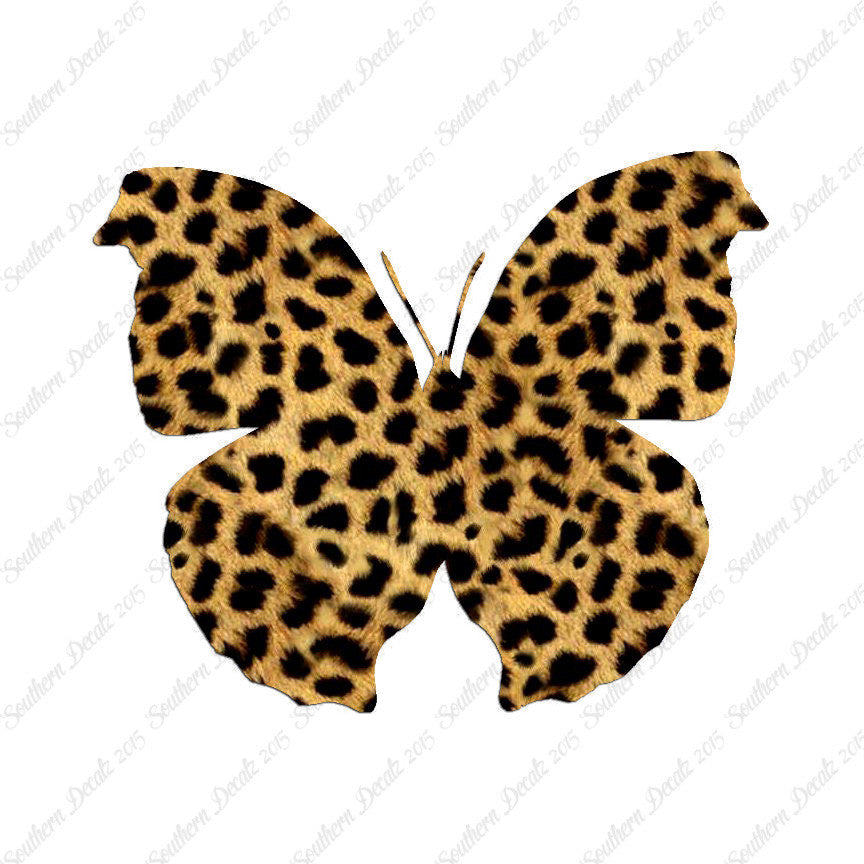 Moth Butterfly Insect Bug