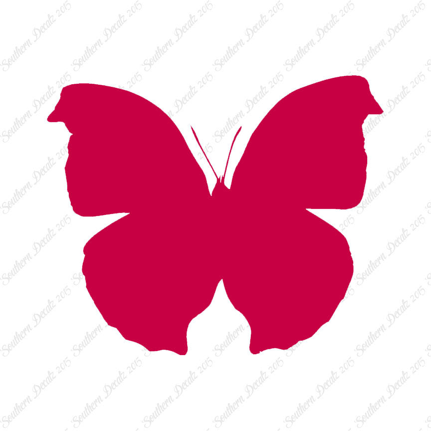 Moth Butterfly Insect Bug