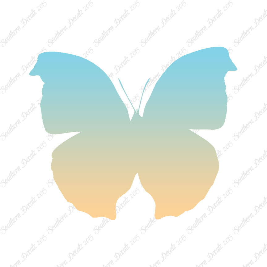 Moth Butterfly Insect Bug