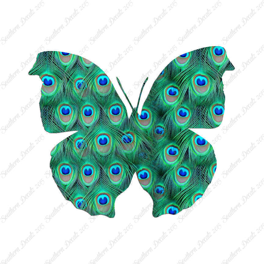 Moth Butterfly Insect Bug