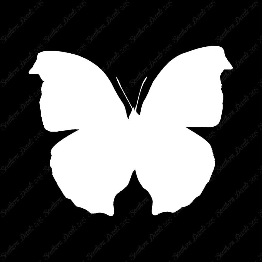 Moth Butterfly Insect Bug