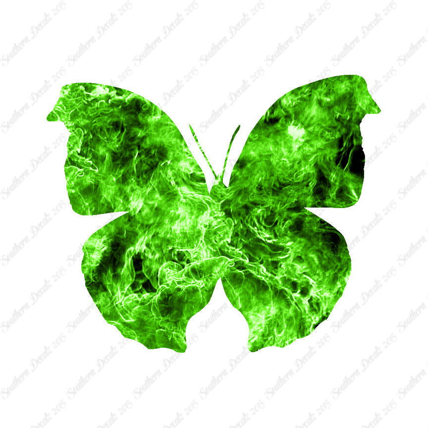 Moth Butterfly Insect Bug