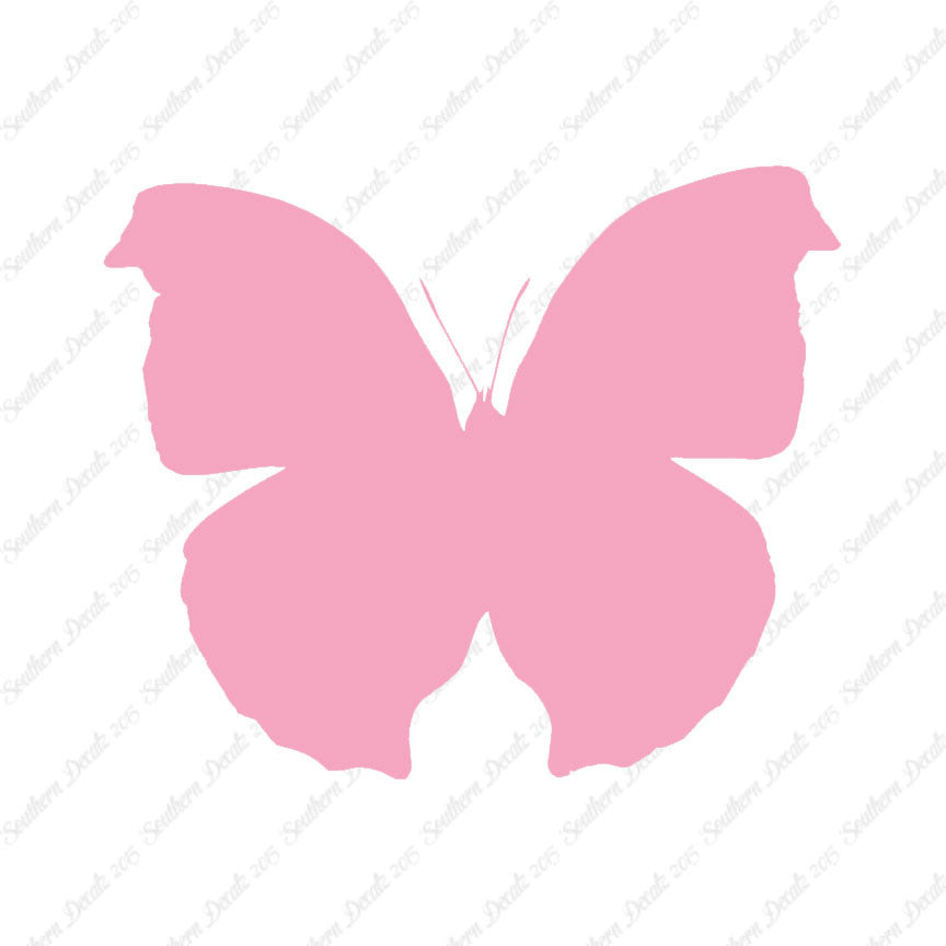 Moth Butterfly Insect Bug