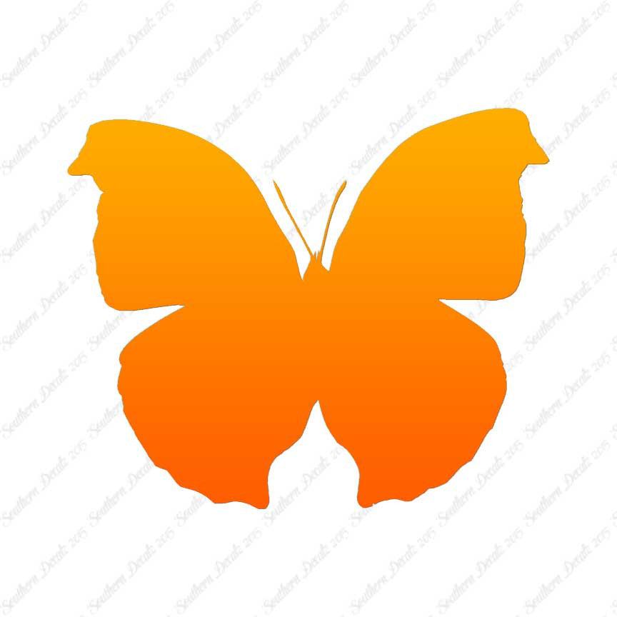 Moth Butterfly Insect Bug