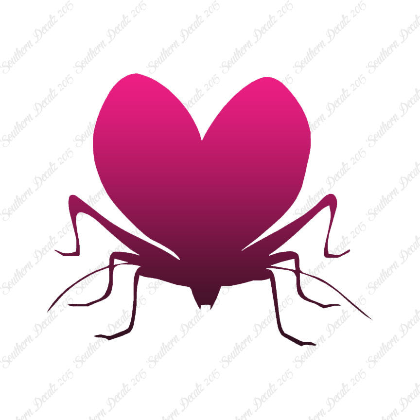 Lovebug Beetle Ladybug Insect