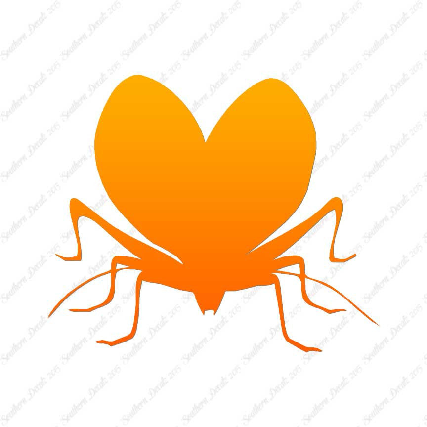 Lovebug Beetle Ladybug Insect