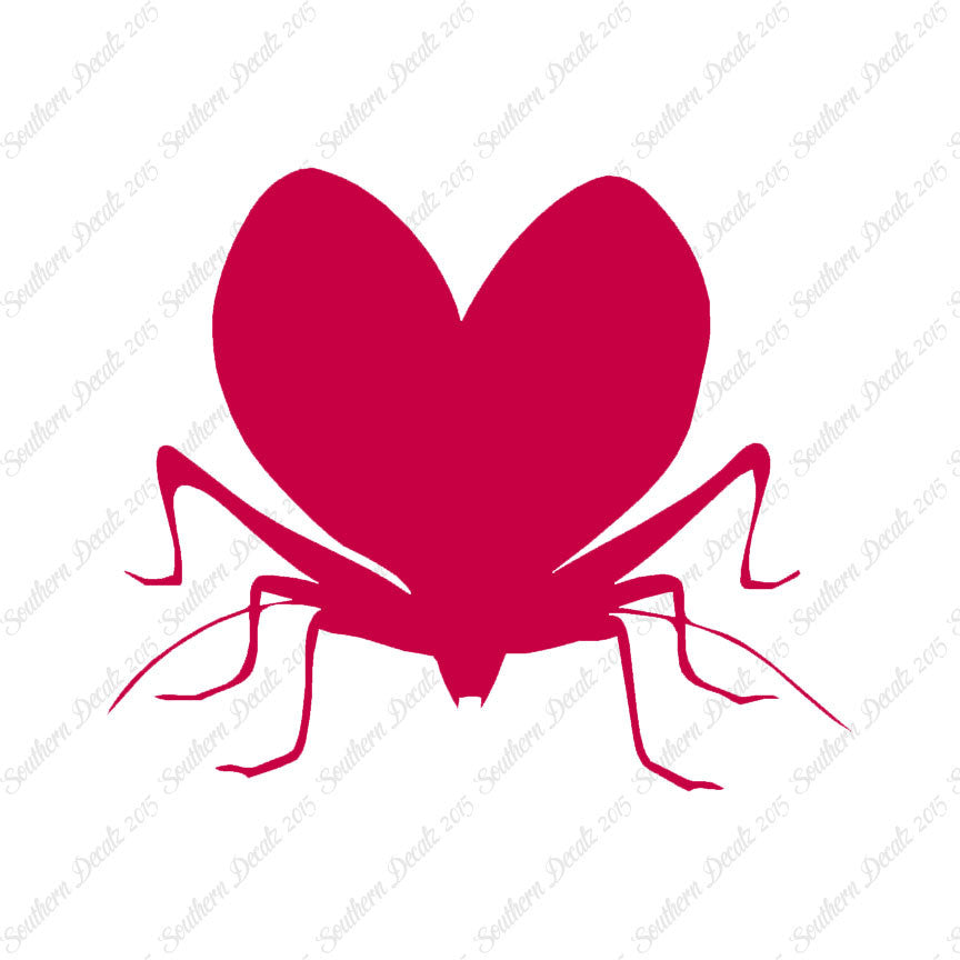 Lovebug Beetle Ladybug Insect