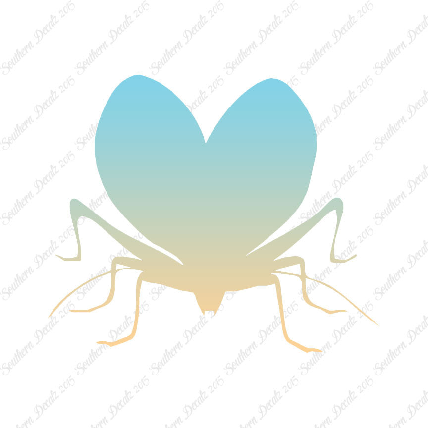 Lovebug Beetle Ladybug Insect