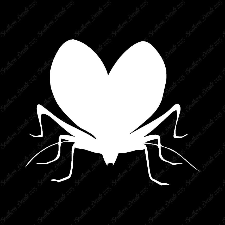 Lovebug Beetle Ladybug Insect