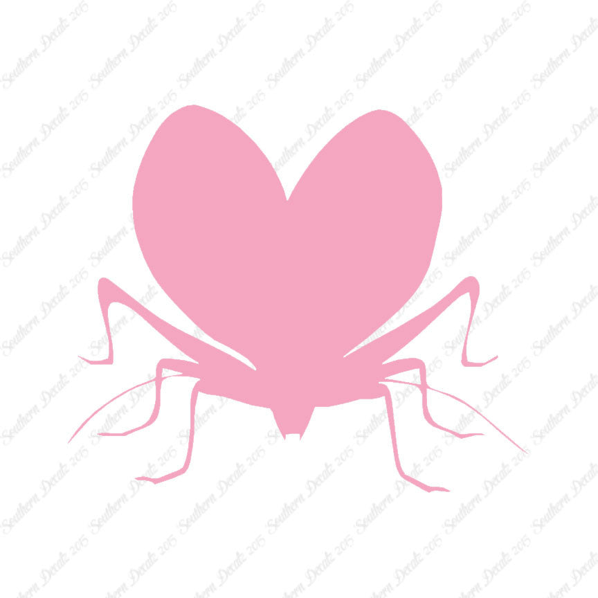 Lovebug Beetle Ladybug Insect