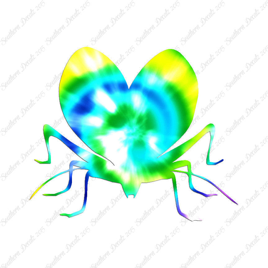 Lovebug Beetle Ladybug Insect