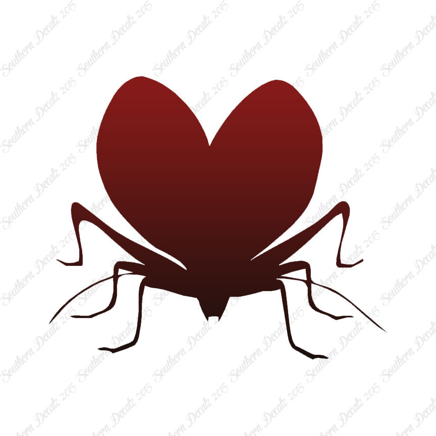 Lovebug Beetle Ladybug Insect