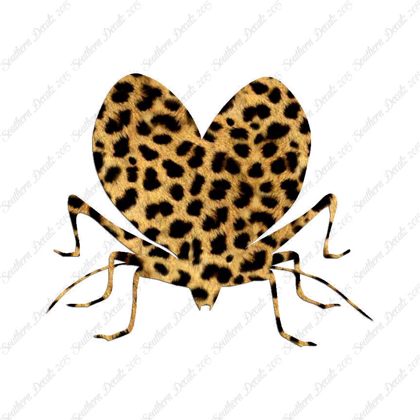 Lovebug Beetle Ladybug Insect