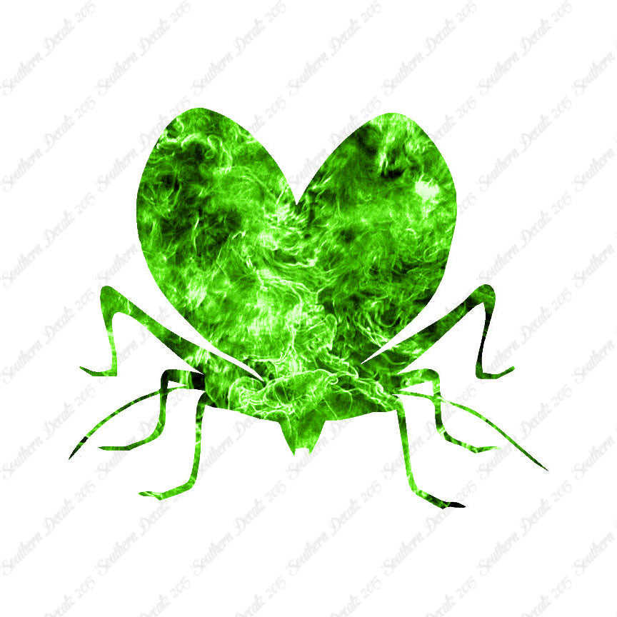 Lovebug Beetle Ladybug Insect