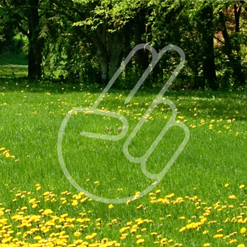 The Pleasurer Hand Symbol