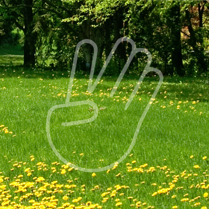 The Show Stopper Hand Symbol