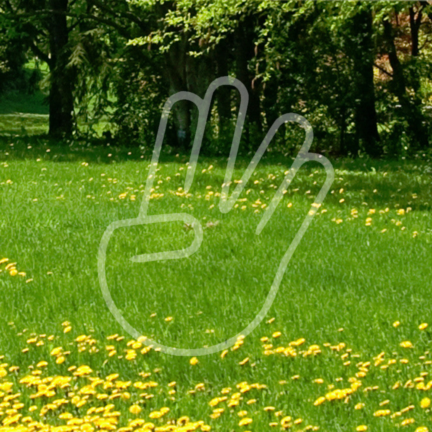 The Spocker Hand Symbol